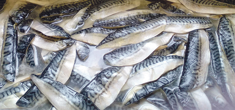 Handcrafted Fish from West Cork
