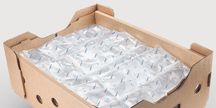 Hydropac reshapes temperature controlled packaging