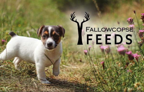 Fallowcopse Feeds: fulfilling your dog’s every need
