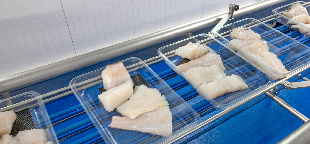SEALPAC A6max traysealer supports renowned Norwegian seafood manufacturer in supplying fresh fish every day